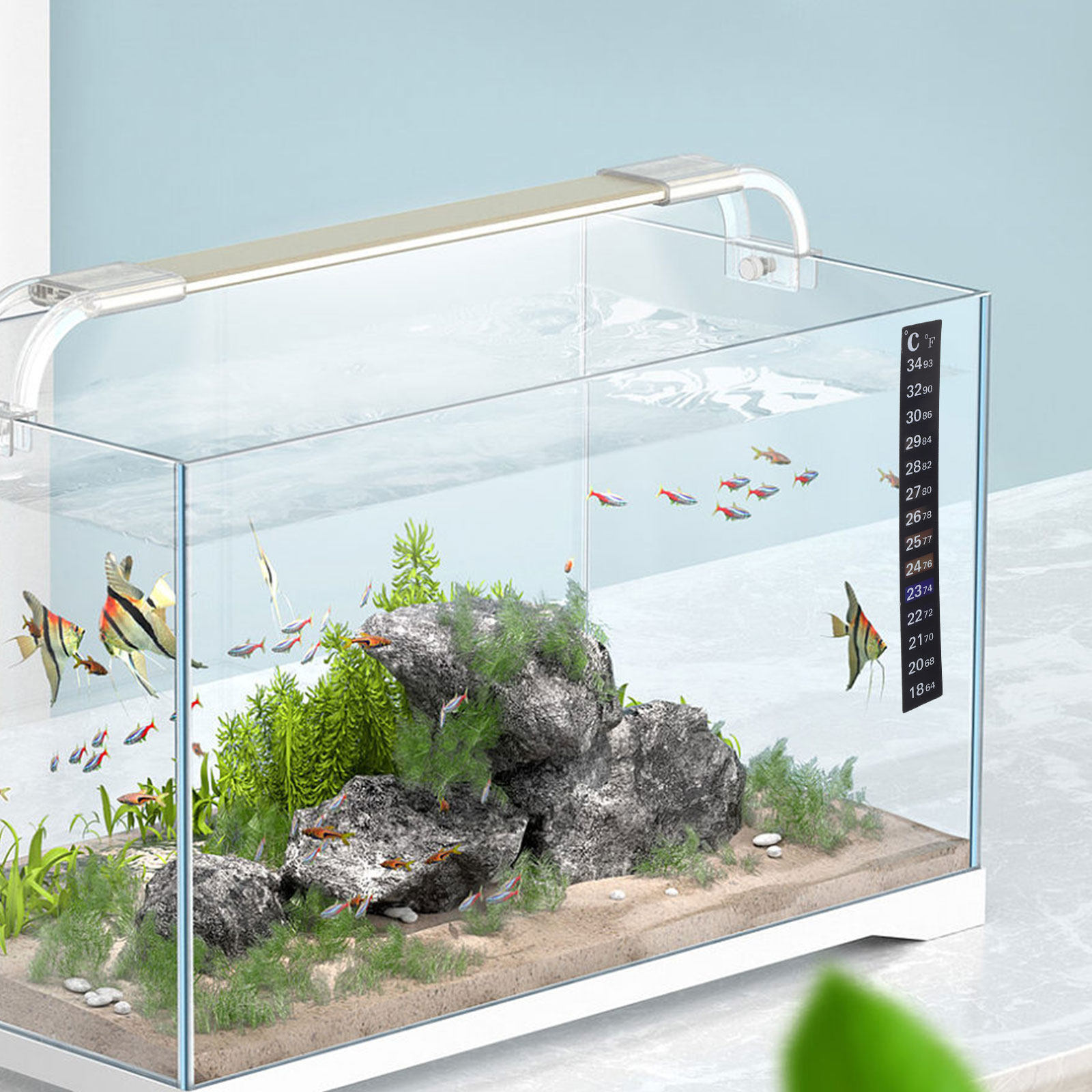 Temperature Strip Thermometer - 2 Stücke Aquarium-Thermometer-Streifen, Farbwechselnd, Präziser Fischtemperatur-Test-Aufkleber,