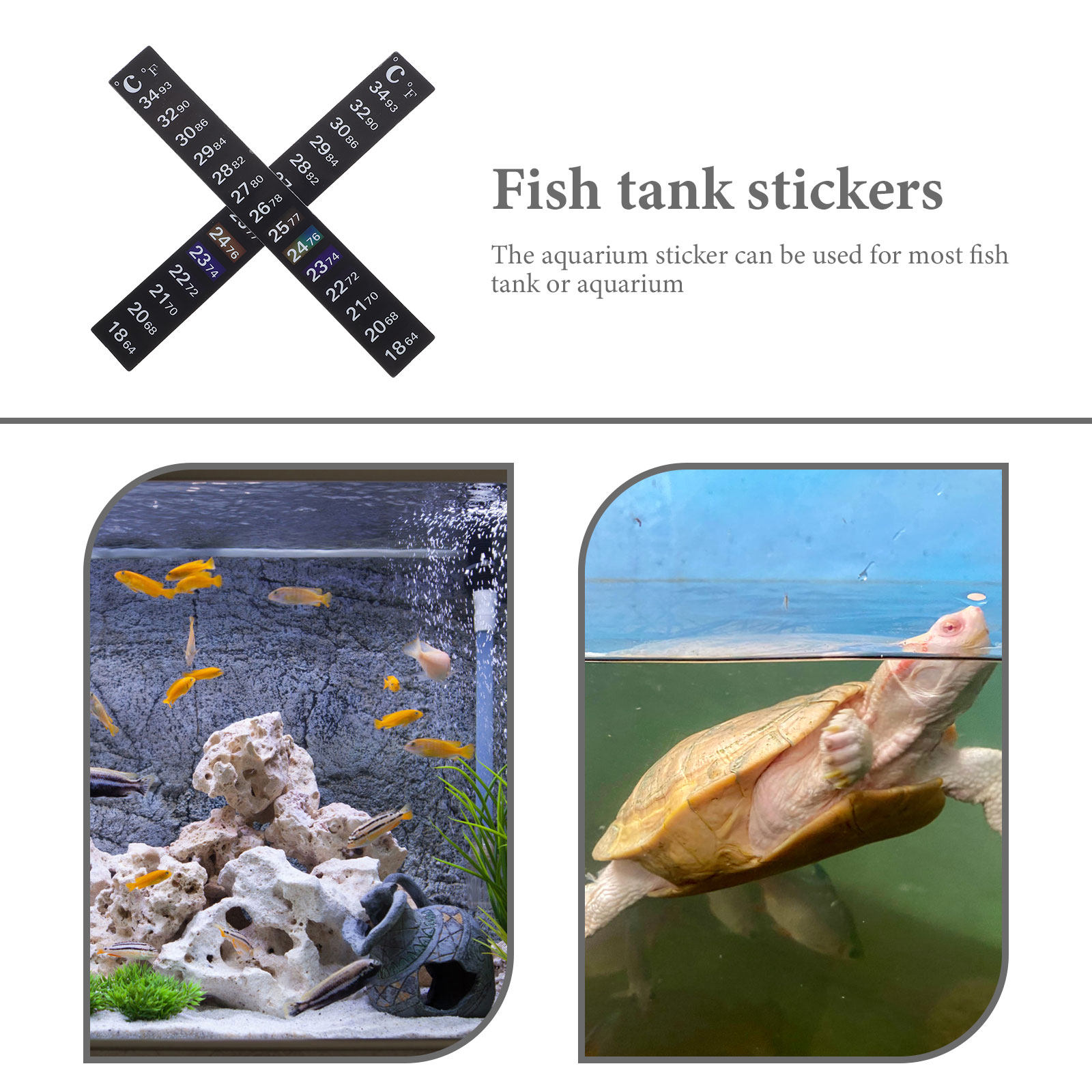 2 Stücke Aquarium-Thermometer- – Temperature Strip Thermometer Bewertung und Preis